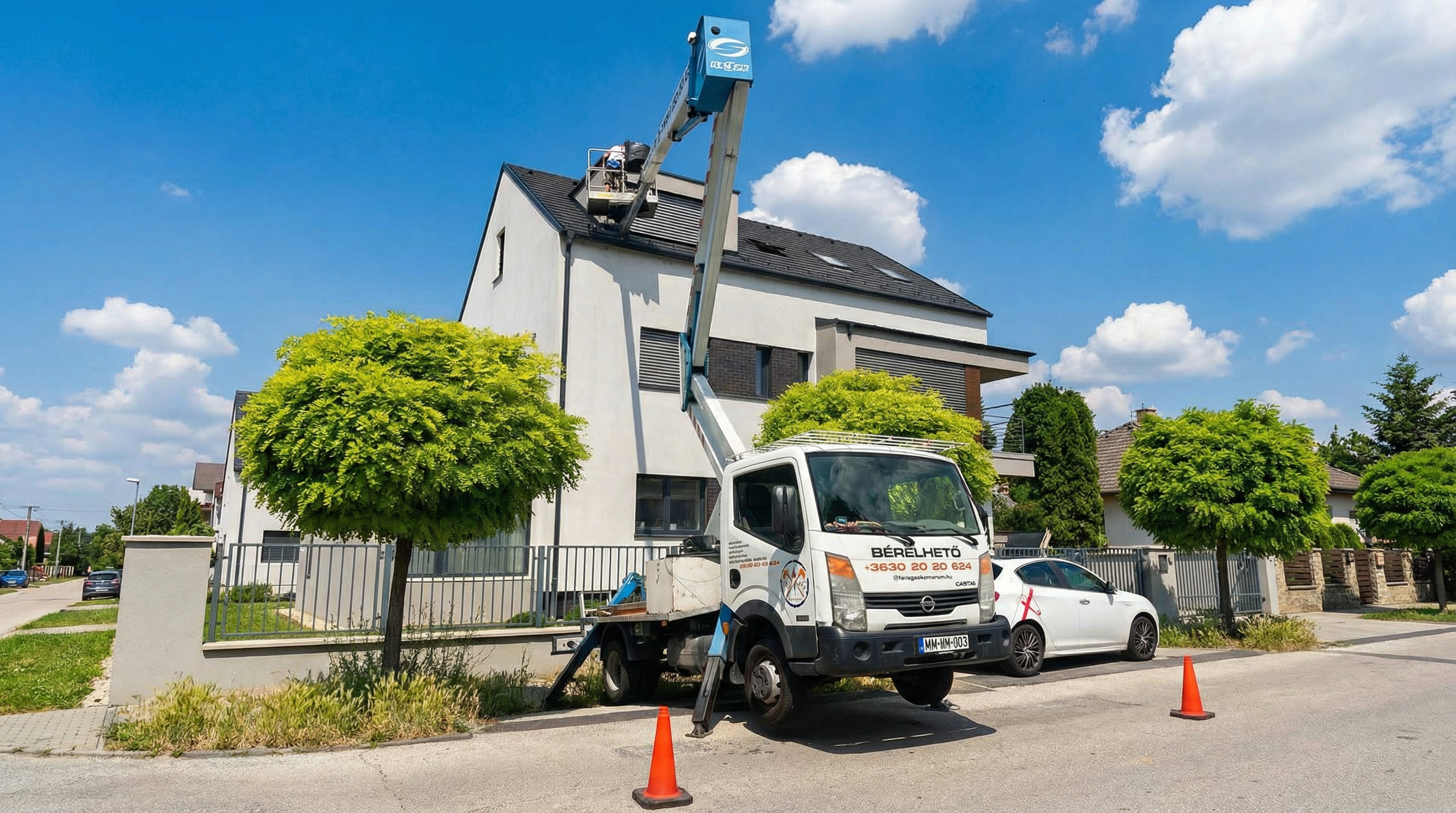 Favágás és faápolás Tatabányán - szakszerű fakivágás
